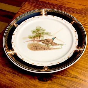 Dinner plate